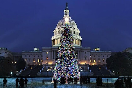 DC National Mall Night Tour with 10 Stops, Reserved Entry Tickets