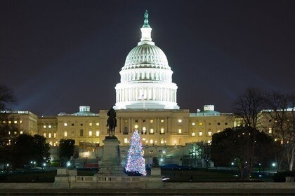 ナショナルモールナイトツアー(10+ストップ付き)、入場チケットオプション