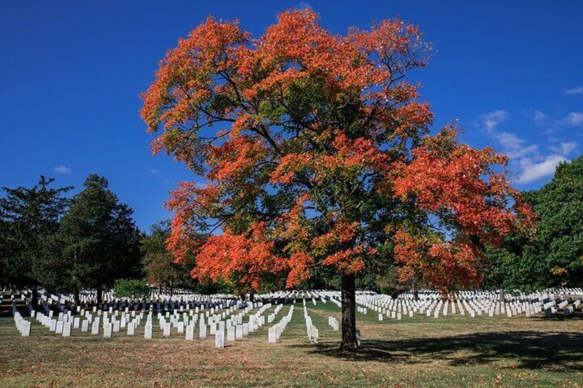 Arlington National Cemetery Guided Walking Tour