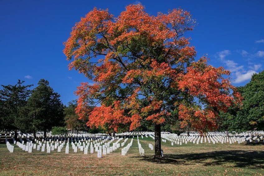 Arlington National Cemetery Guided Walking Tour