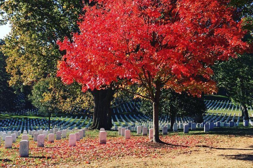 Arlington National Cemetery Guided Walking Tour
