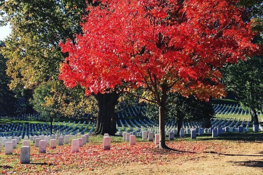 Arlington National Cemetery Guided Walking Tour