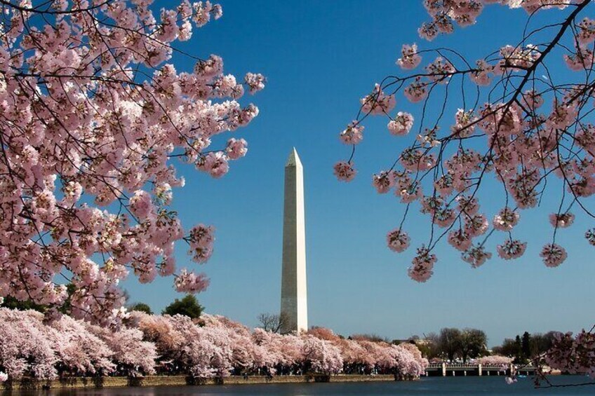 Washington DC Private Multilingual VIP Tour