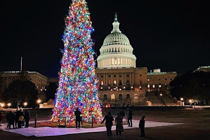 Holiday Lights & National Mall Night Tour with 10+ Stops, Tickets