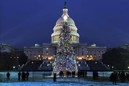 Holiday Lights & Nights City Tour with 10+ Stops, Entry Tickets