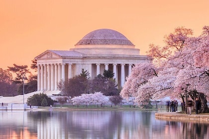 Recorrido de mañana por los monumentos de Washington DC