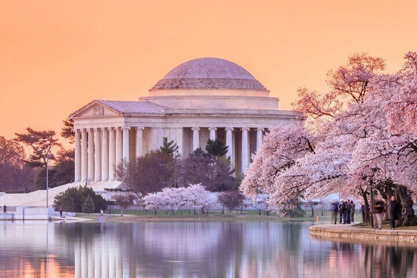 Cherry Blossoms and Monuments Tour with Optional Entry Tickets