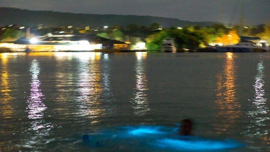 Luminous Lagoon