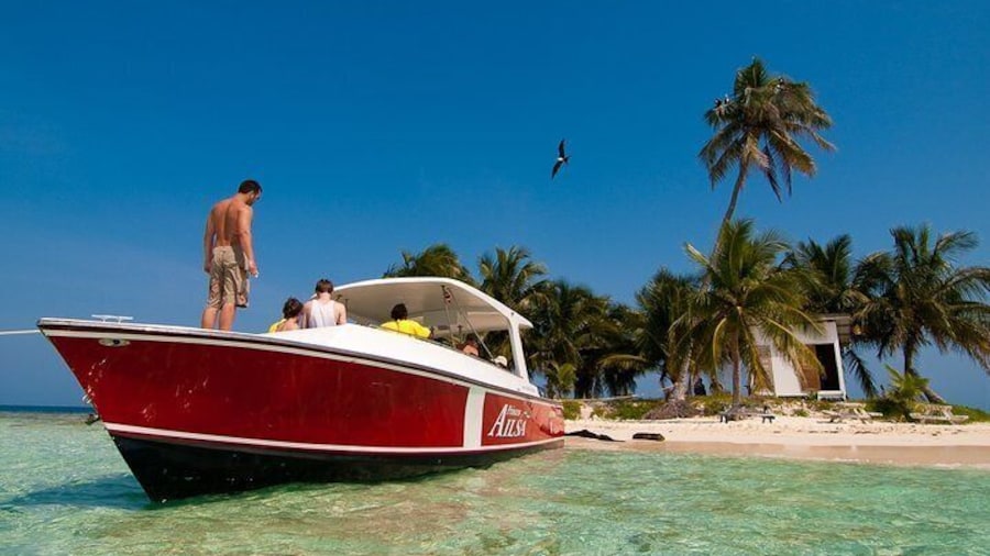 Arrive the Silk Caye on one of our Princesses...