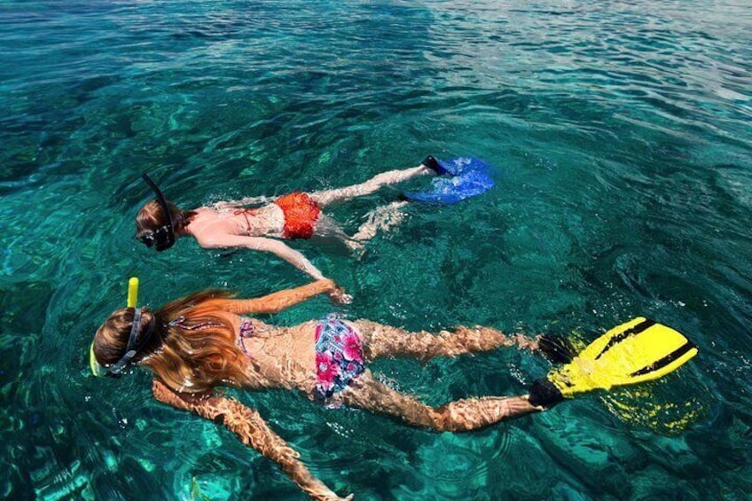 Snorkel and experience the healthy corals and critters of the Belize Barrier Reef...