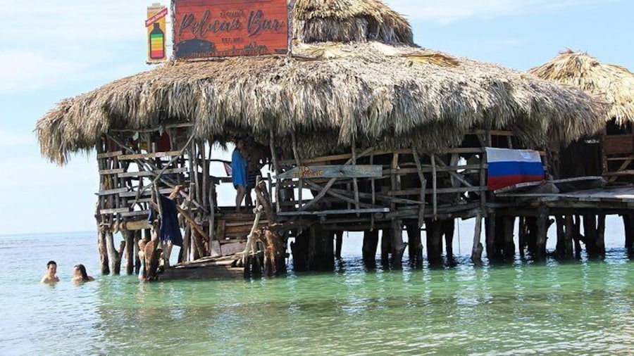 YS Falls, Black River Safari, and Floyd's Pelican Bar Day-Trip