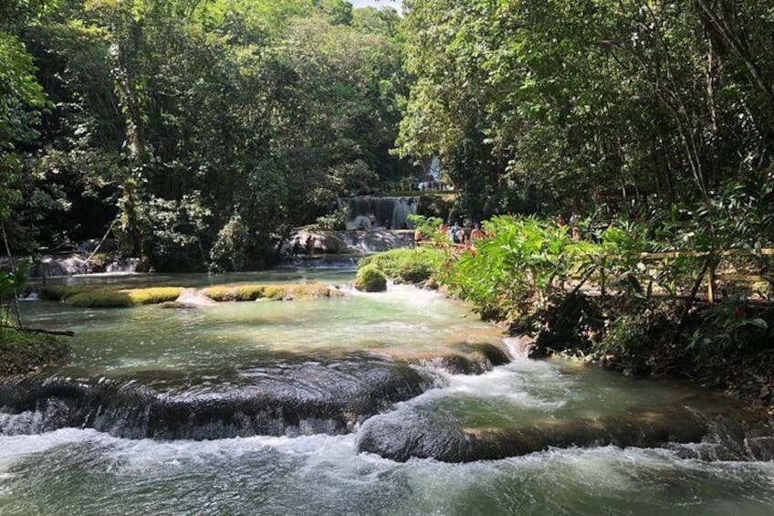 YS Falls, Black River Safari, and Floyd's Pelican Bar Day-Trip