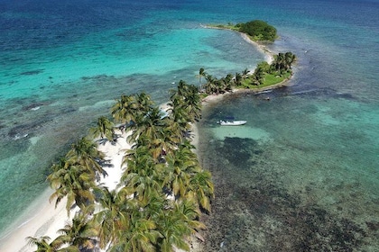 Experiencia de snorkel e isla en el Parque Nacional Laughing Bird Caye