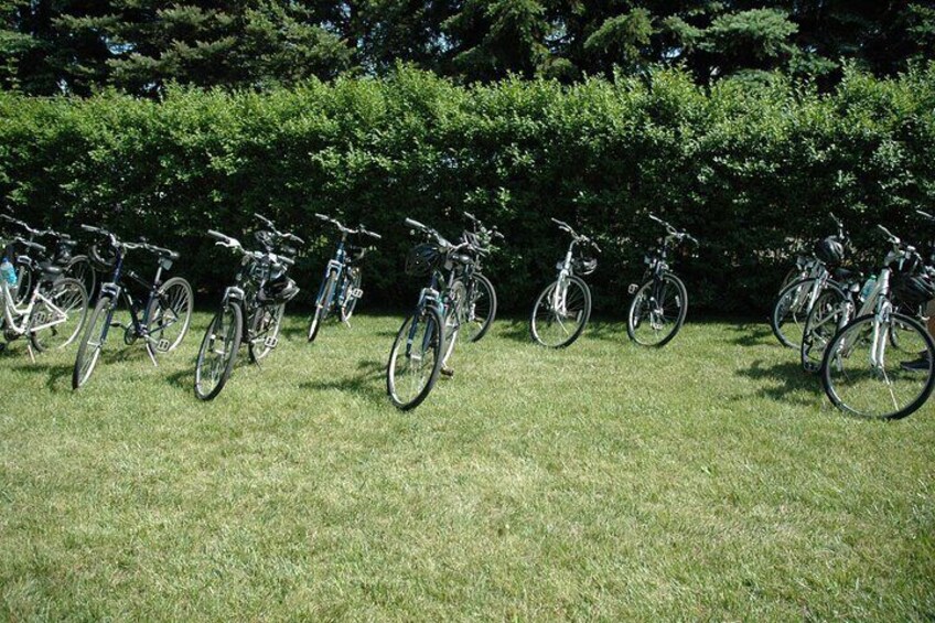 Mattituck Bike Wine Country and Fruit Orchard Tour