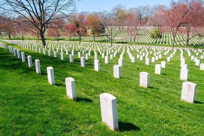 Visita guiada al cementerio de Arlington con cambio de guardia