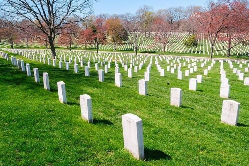 Washington DC Morning Guided Sightseeing Tour with Arlington Cemetery Admission