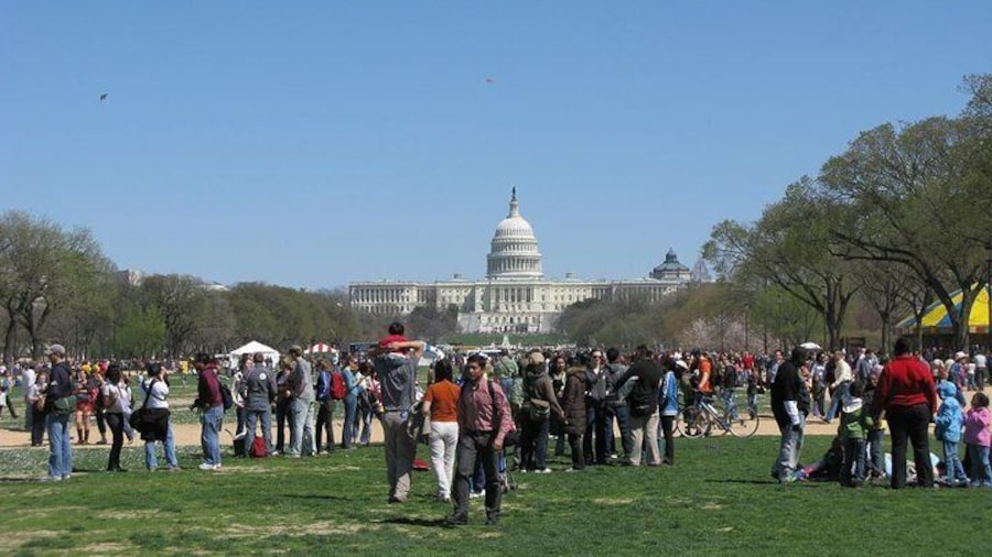 Washington D.C.