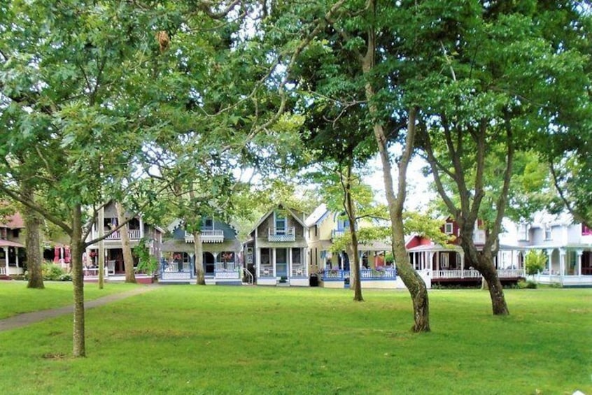 3-Hour Martha's Vineyard Island Tour from Oak Bluffs