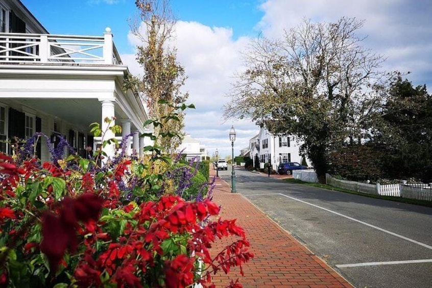 3-Hour Martha's Vineyard Island Tour from Oak Bluffs