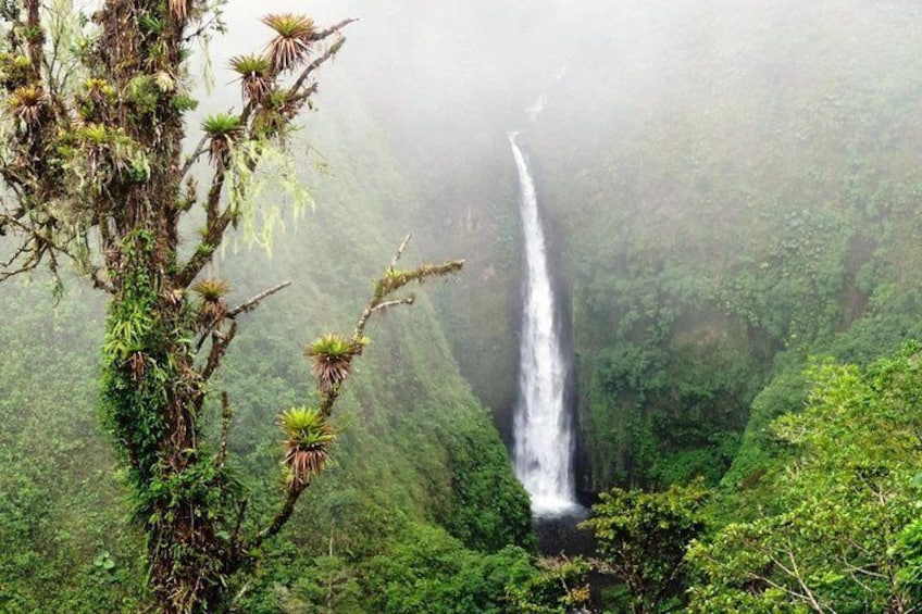 Nature-Adventure tour from San Jose