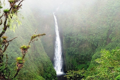 圣何塞阿雷纳尔火山体验全日游