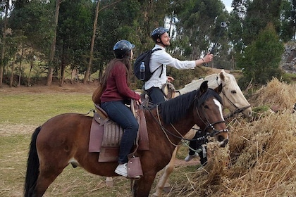 Ride Peruvian Paso Horses in Cusco
