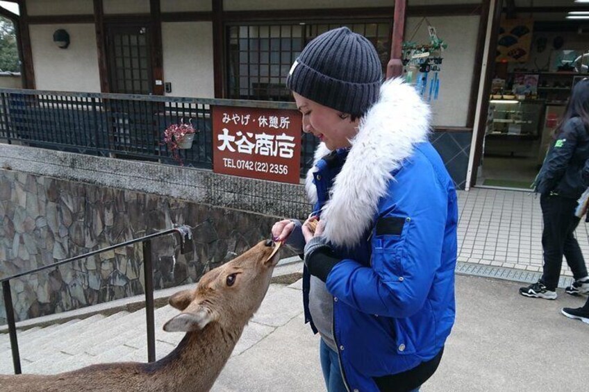 Nara Todai-ji Lazy Bird Tour <30mins from Kyoto>