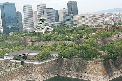 Osaka Castle & Dotonbori Lively One Day Tour