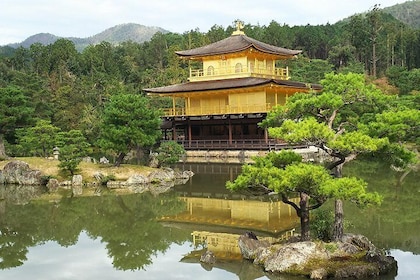 京都奈良兩日遊
