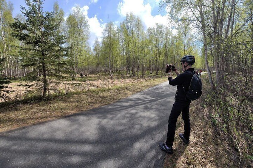 Viator Exclusive: Go eBike Alaska on Tony Knowles Trail