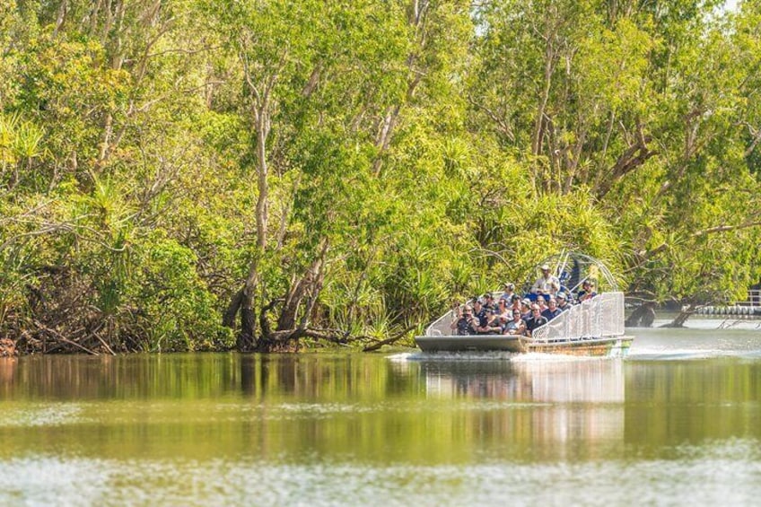 Experience the rush of an airboat