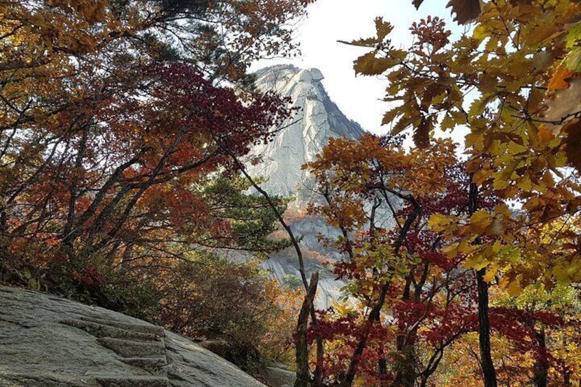 Private Hiking to Bukhansan Peak(Baegundae: 836.5m) with Mountain Expert