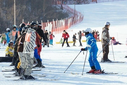 [Private Tour] Nami Island & Ski (Ski Lesson, Equip & Clothing Included)