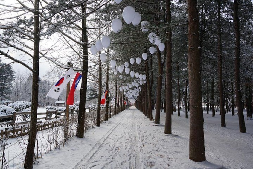 [Private Tour] Nami Island & Ski (Ski Lesson, Equip & Clothing Included)