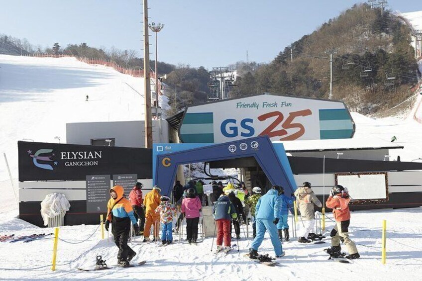 [Private Tour] Nami Island & Ski (Ski Lesson, Equip & Clothing Included)