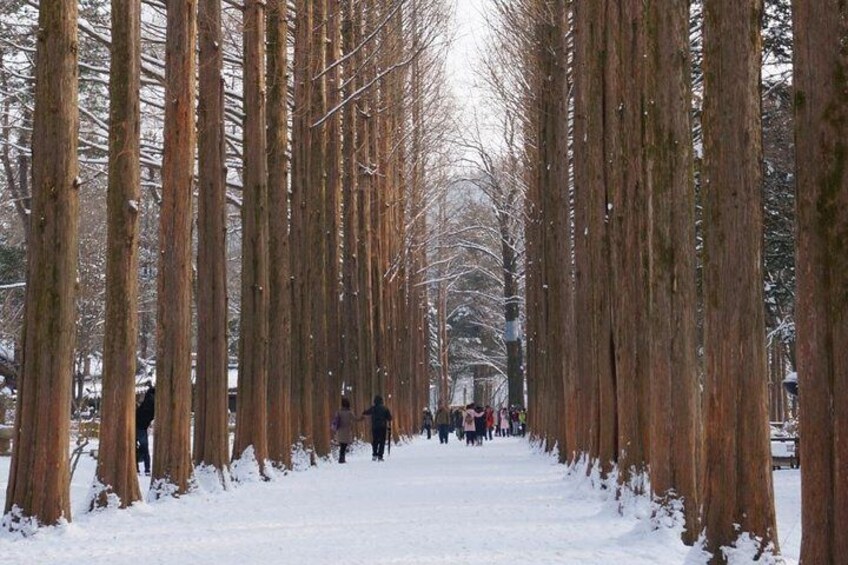 Nami island