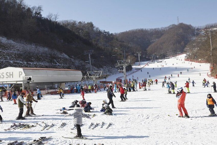 [Private Tour] Nami Island & Ski (Ski Lesson, Equip & Clothing Included)