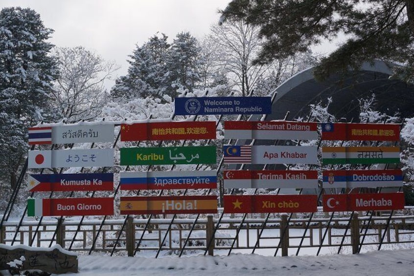 [Private Tour] Nami Island & Ski (Ski Lesson, Equip & Clothing Included)