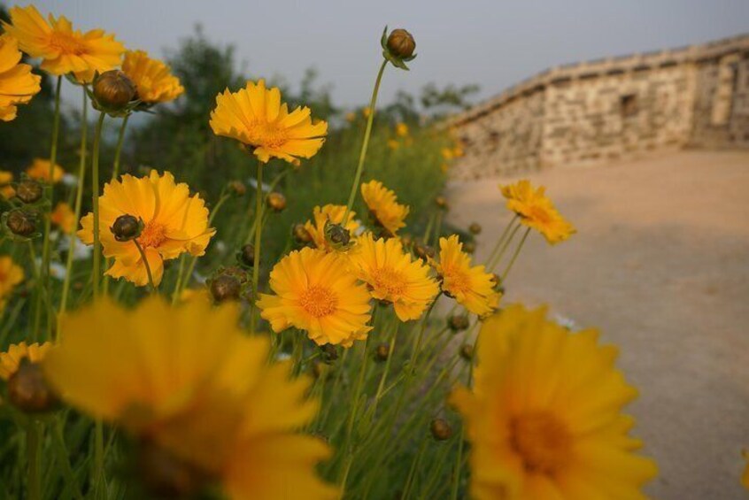Namhansanseong UNESCO Historical Sites and Korean Folk Village-Private Tour