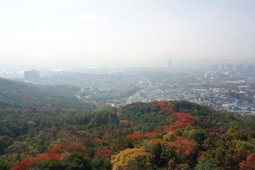 Private tour in Seoul and Near Seoul(Airport pick up and sending Available)