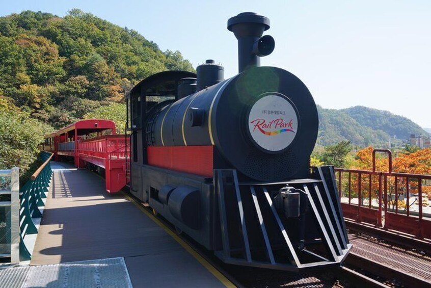 Private Tour Rail Bike & Nami Island & (Petite France or Garden of Morning Calm)