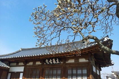 Andong Hahoe Village [UNESCO site] Premium Private Tour from Seoul