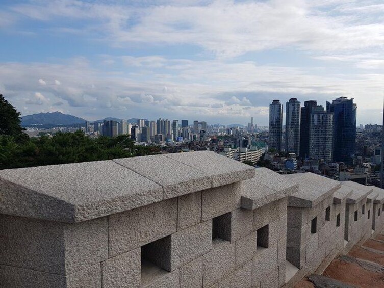 Private Seoul Wall Trekking [Inwangsan, Bugaksan, Naksan Park, N-Seoul Tower]