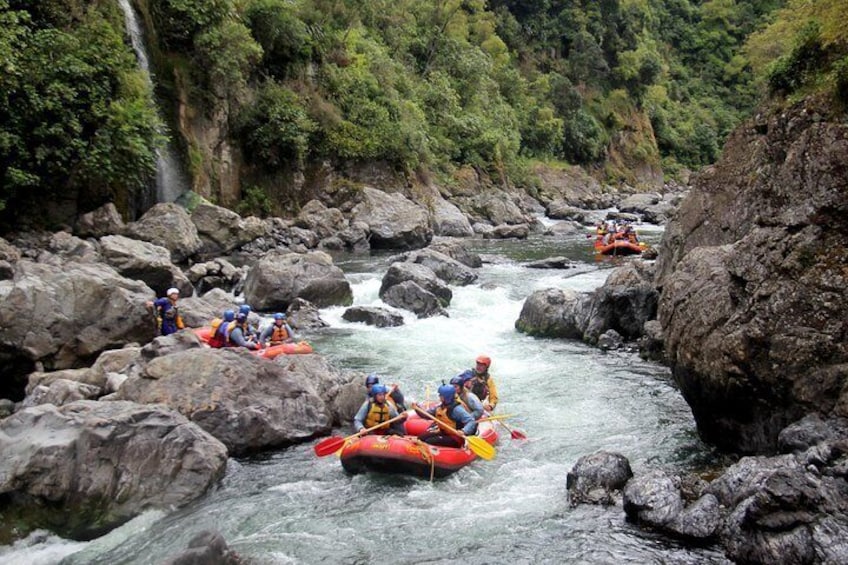 Half Day, Grade 5, White Water Rafting on the Rangitikei River