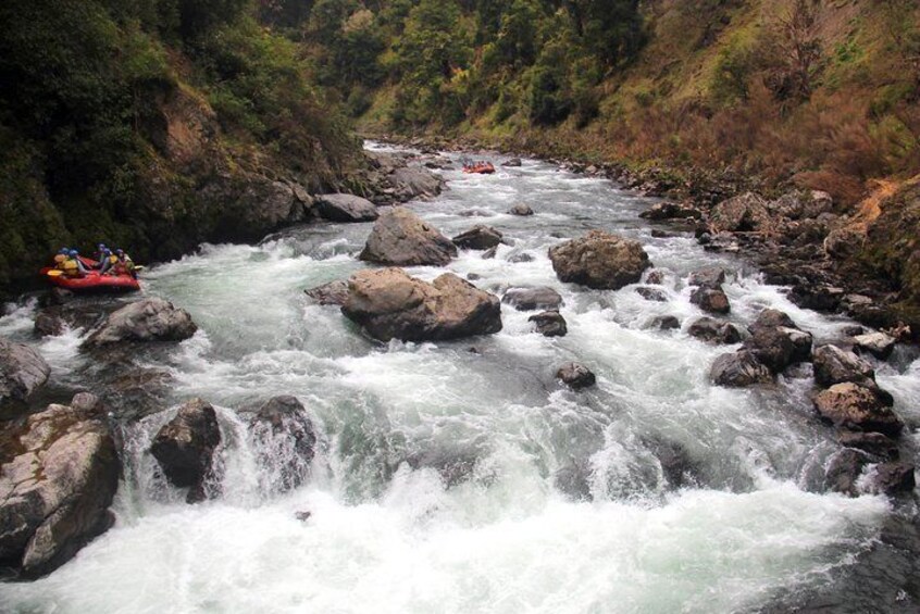 Half Day, Grade 5, White Water Rafting on the Rangitikei River
