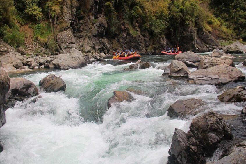 Half Day, Grade 5, White Water Rafting on the Rangitikei River