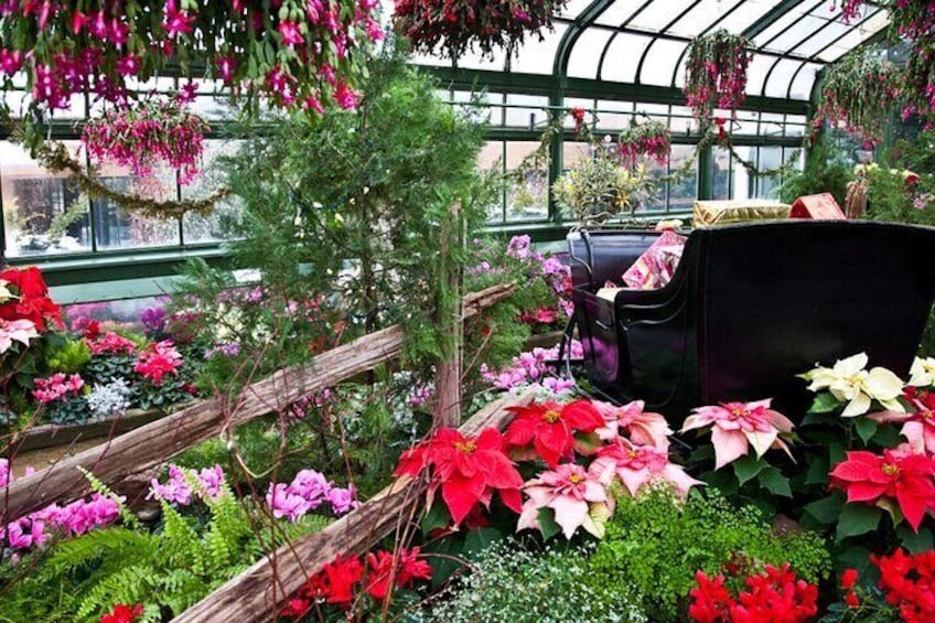 Inside view of Niagara Parks Floral Showhouse, Niagara, Canada.