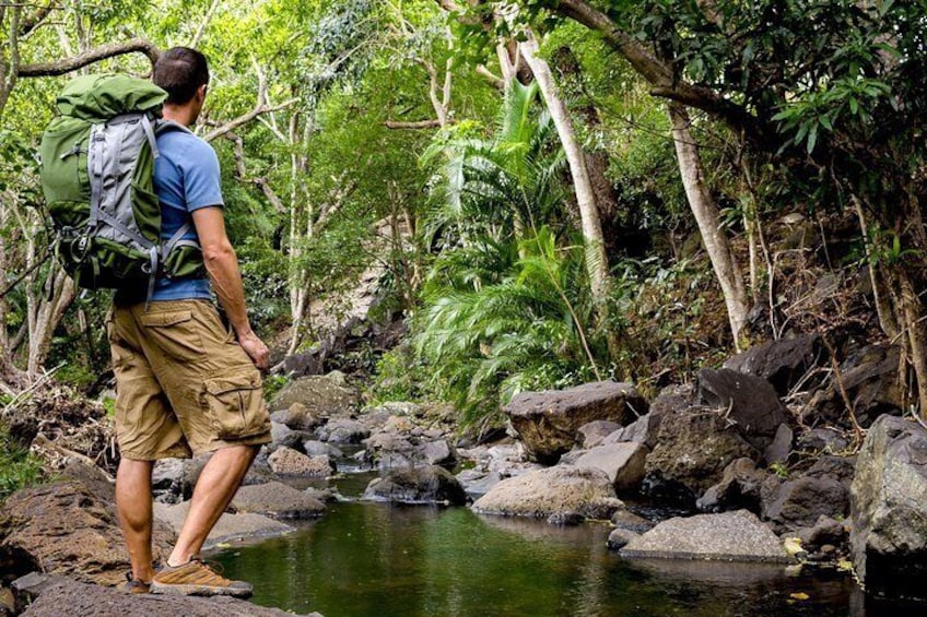 Go on fun hikes through the jungle.