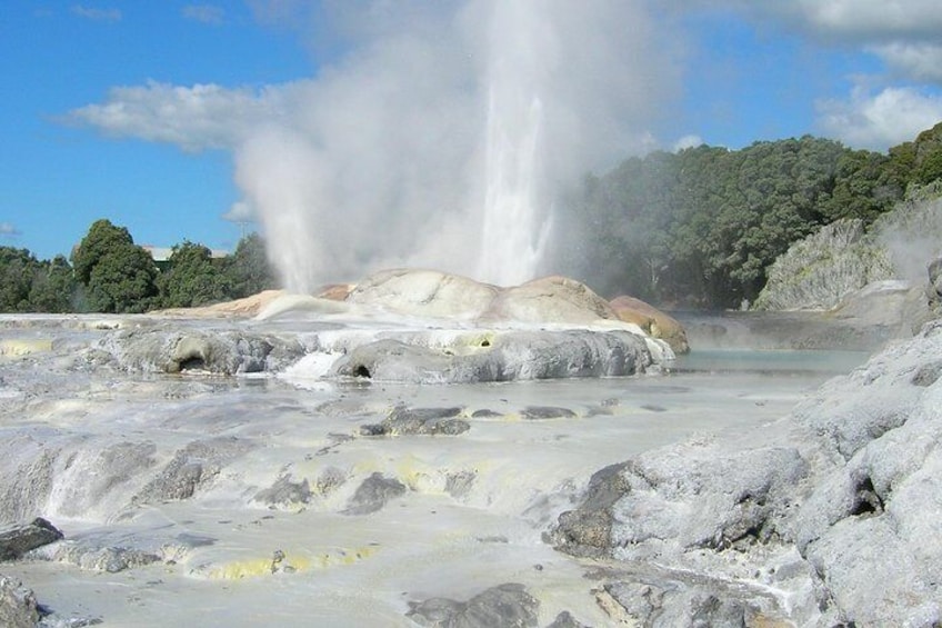 Te Puia (Geyser)