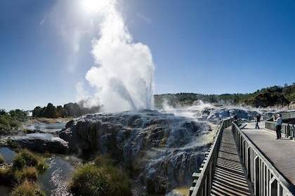 Private Full-Day Rotorua Tour from Auckland